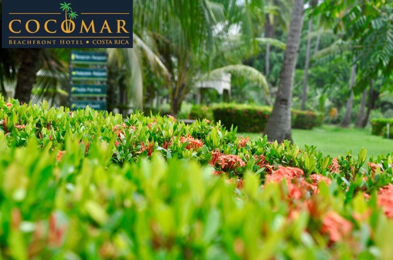 Cocomar Beachfront Hotel باريتا المظهر الخارجي الصورة