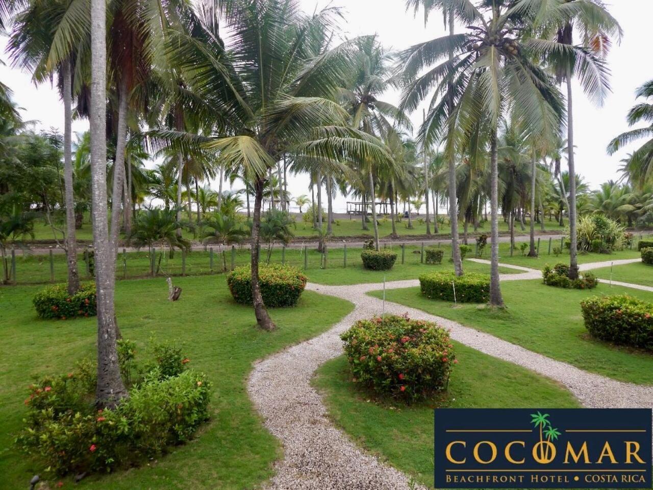 Cocomar Beachfront Hotel باريتا المظهر الخارجي الصورة